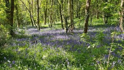 Les portes-clé en bois personnalisés