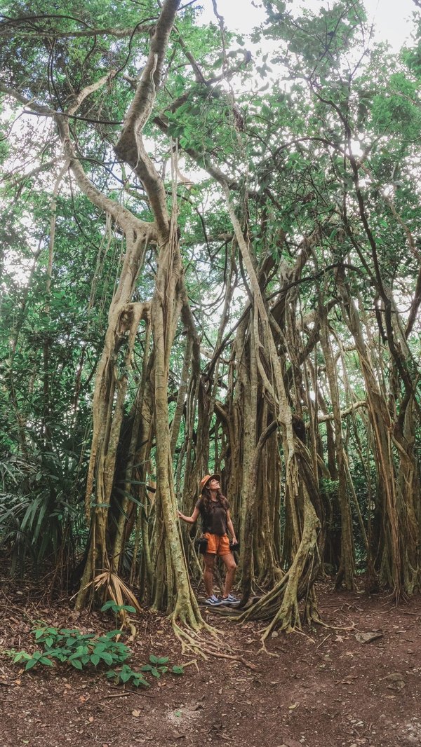 Bien choisir sa monture en ligne : Conseils pratiques pour un achat réussi